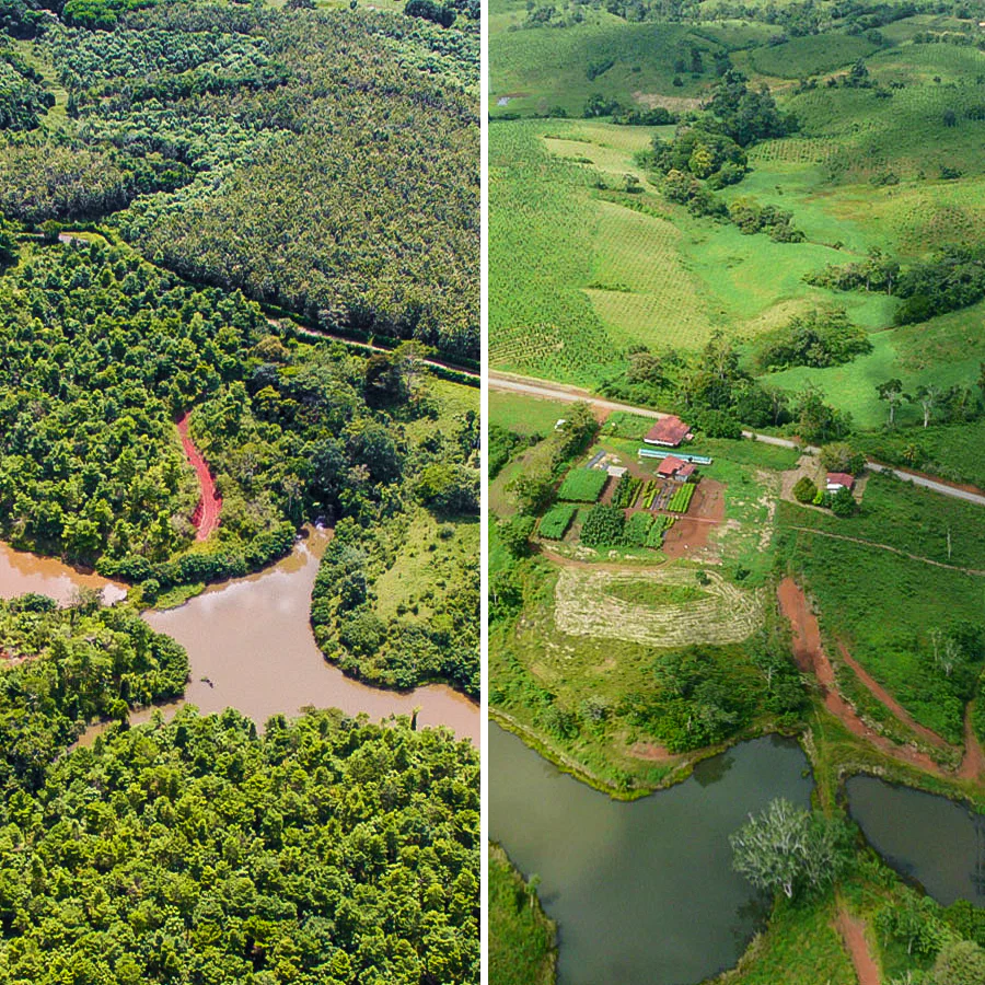 Reforestation in Costa Rica, Central America